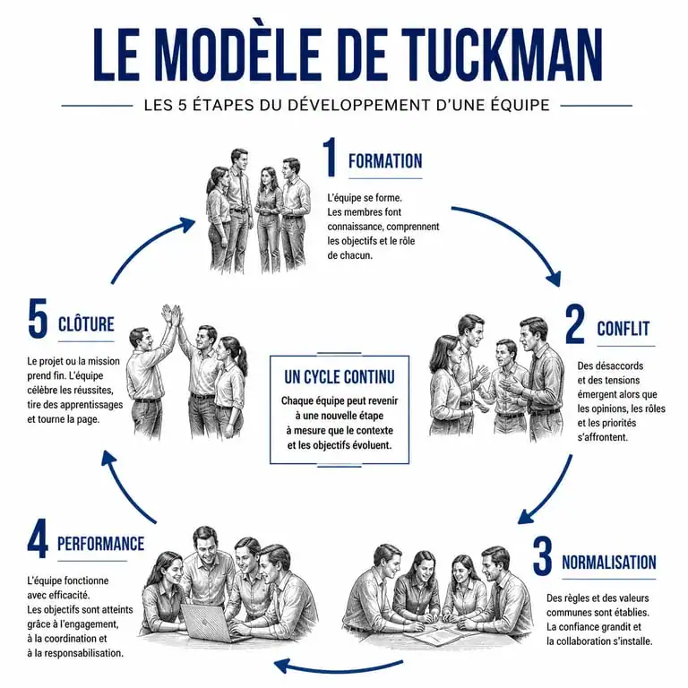 Infographie des 5 étapes du modèle de Tuckman pour le développement d'équipe