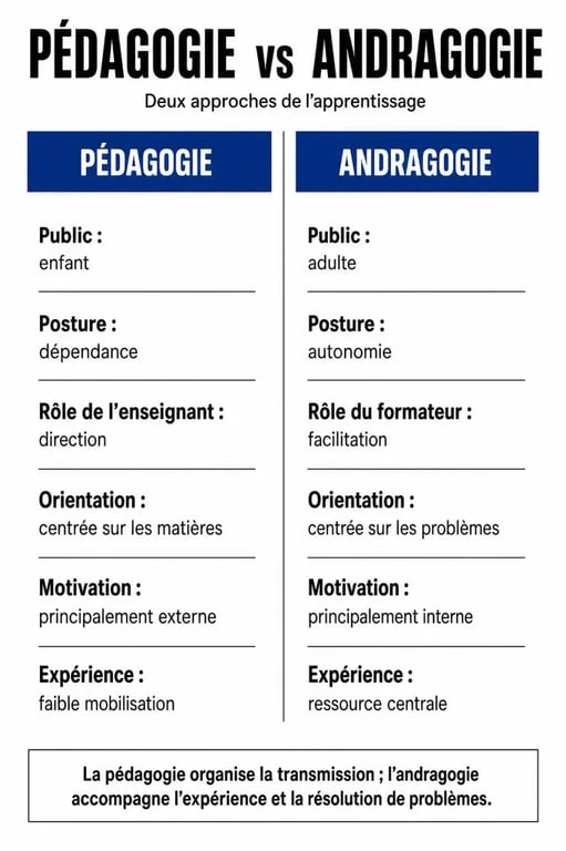 Infographie comparative entre la pédagogie et l'andragogie pour comprendre la définition et les principes de l'andragogie